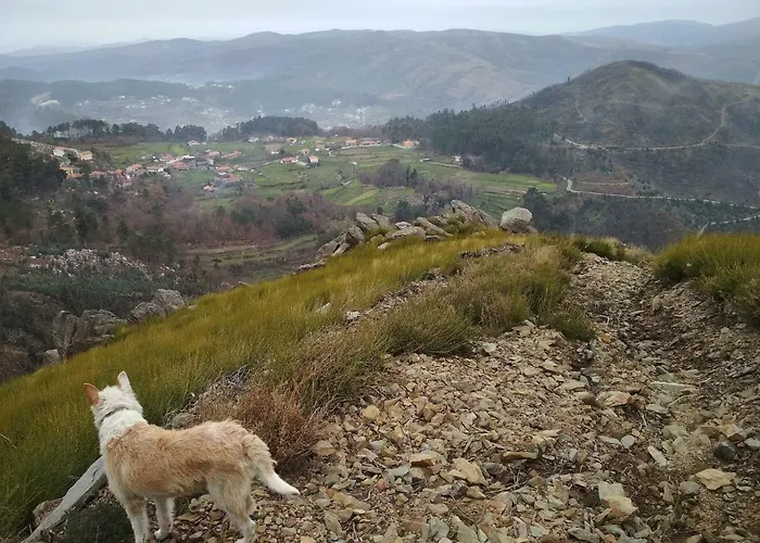Casa de Férias Casa Do Lonho Arouca
